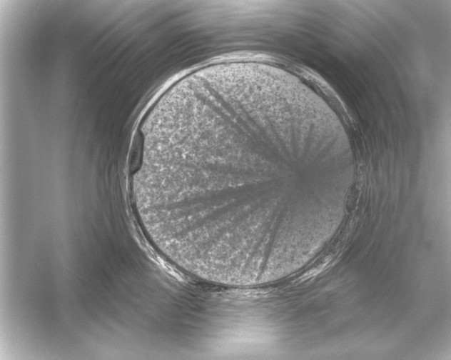 X0000051890860200507222014