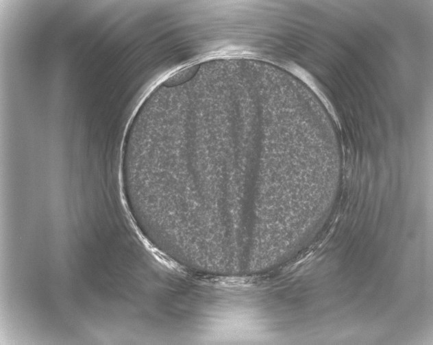 X0000051890861200507222014