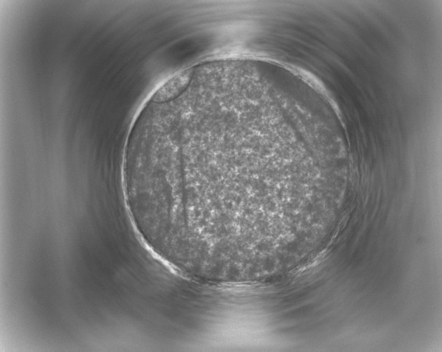 X0000051890863200507222014