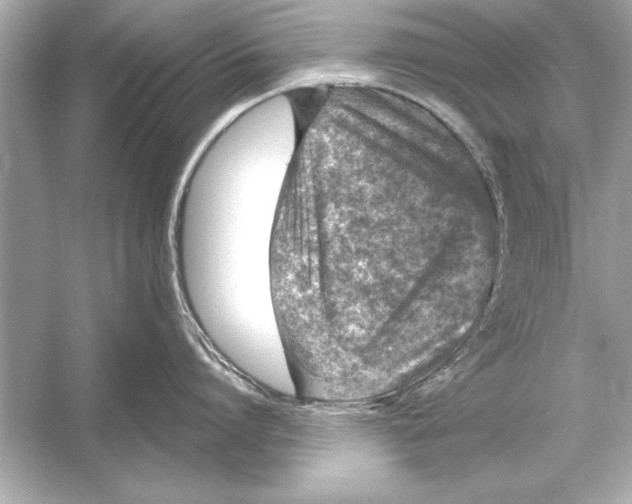 X0000051890864200507222014