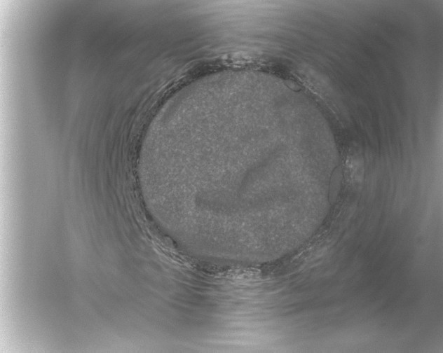 X0000051890865200507222013