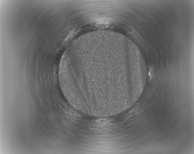 X0000051890867200507222013