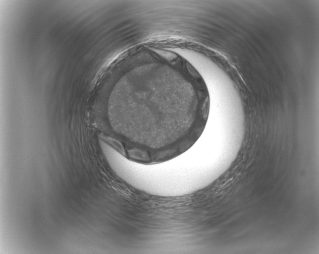 X0000051890871200507222013