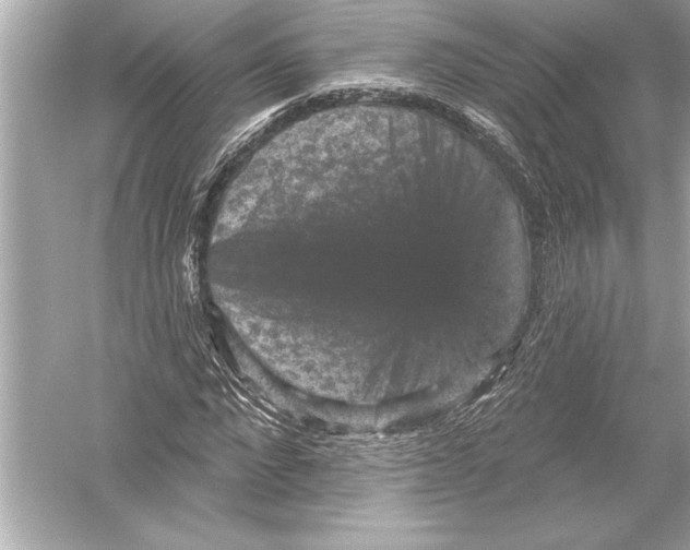 X0000051890872200507222013