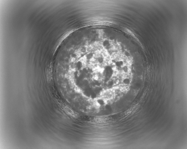 X0000051890875200507222013