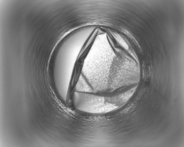 X0000051890876200507222013