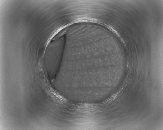 X0000051890877200507222013