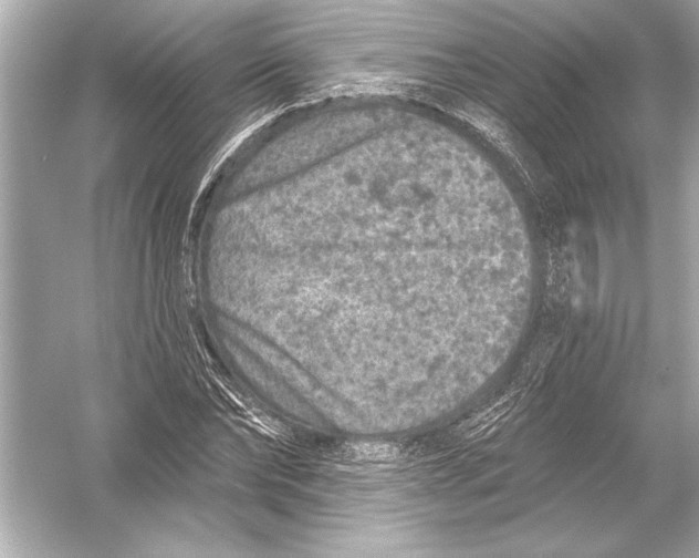 X0000051890878200507222013