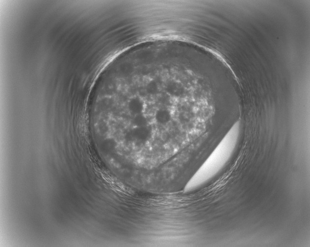 X0000051890879200507222013