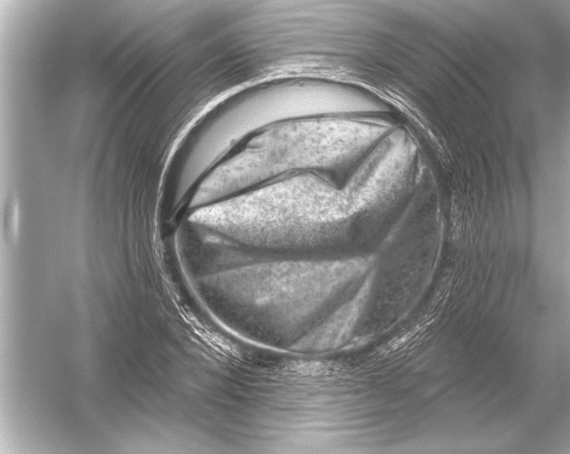 X0000051890880200507222013