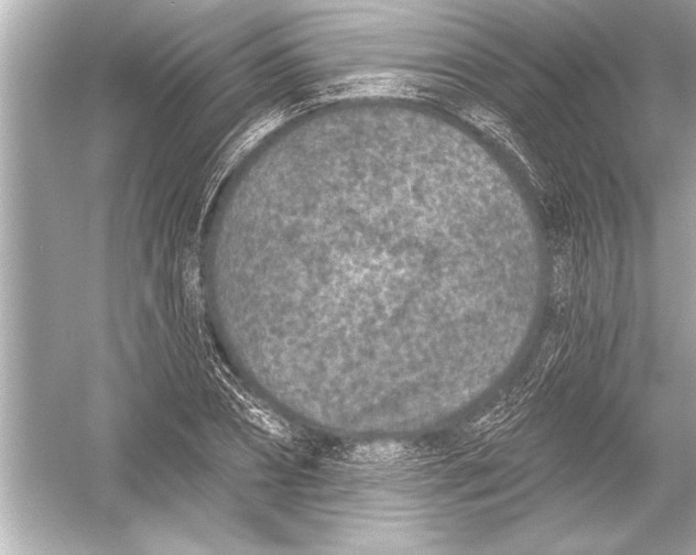 X0000051890882200507222013