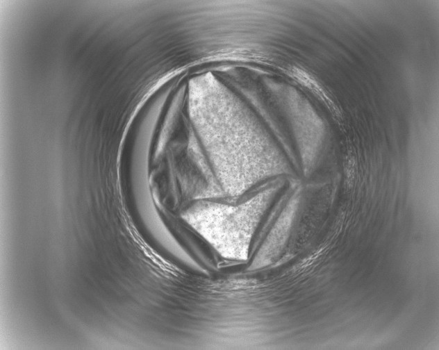 X0000051890884200507222013