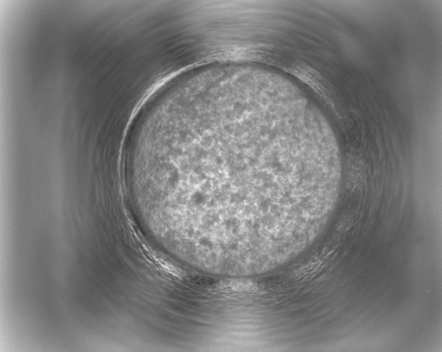 X0000051890886200507222013