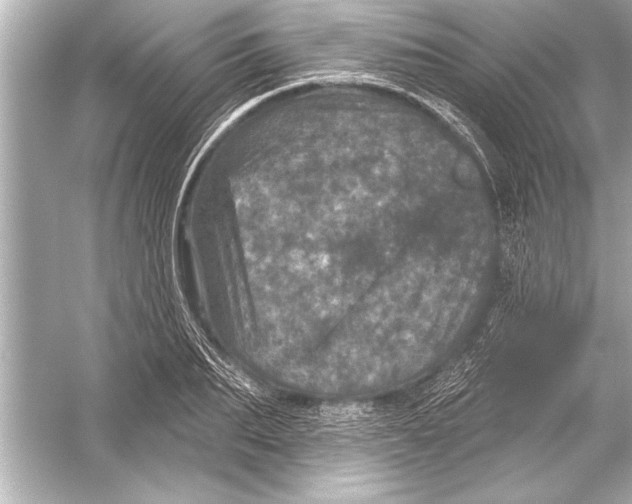 X0000051890887200507222013