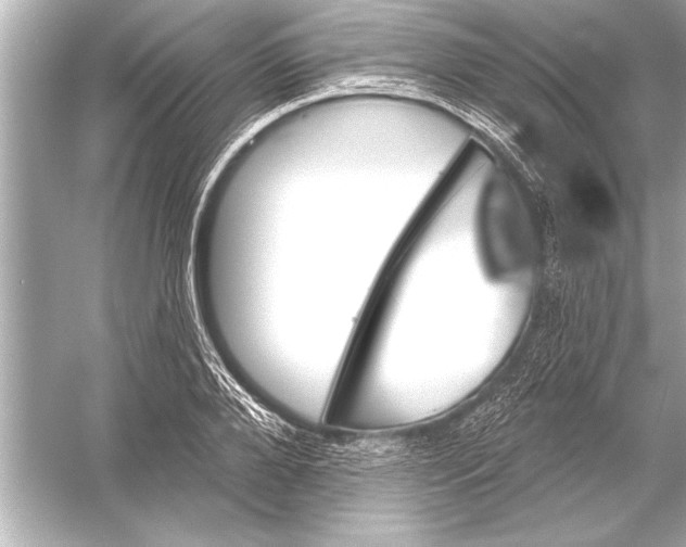 X0000051890888200507222013