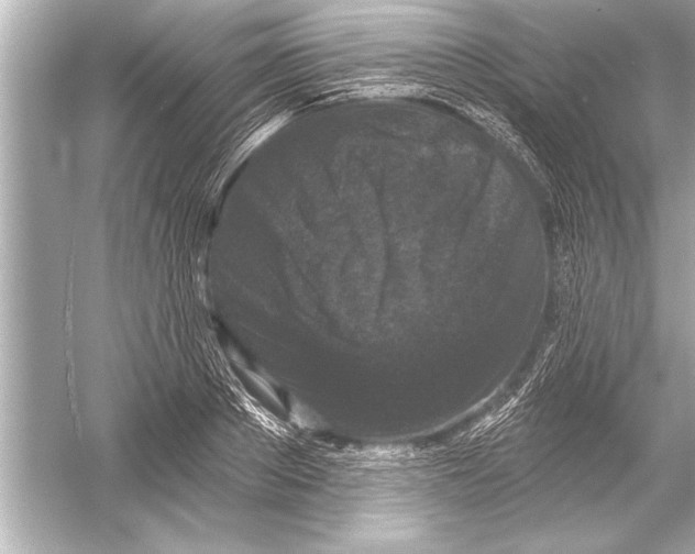 X0000051890889200507222013