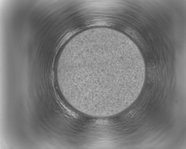 X0000051890890200507222013