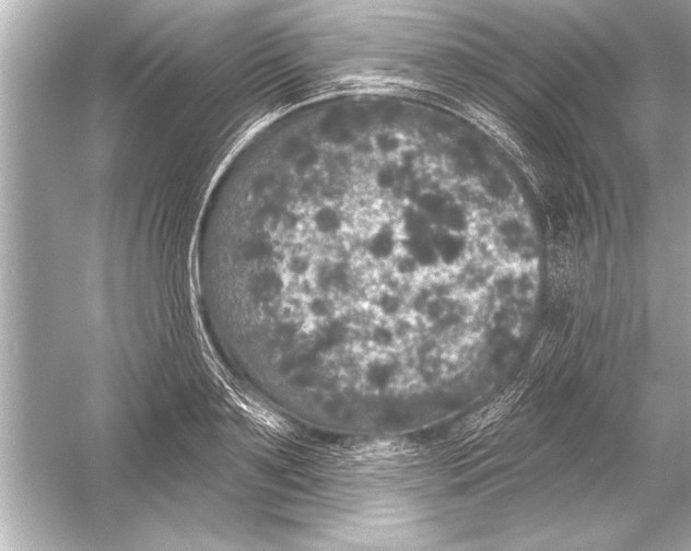 X0000051890891200507222013