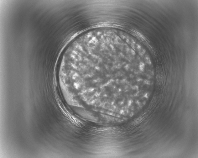 X0000051890892200507222013