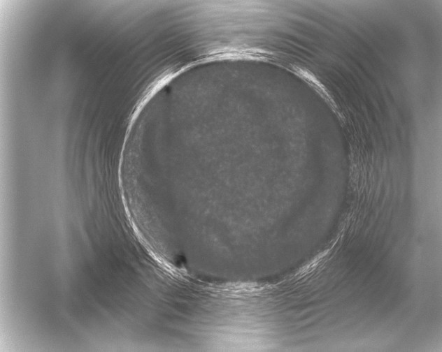 X0000051890893200507222013