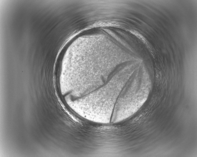 X0000051890894200507222013