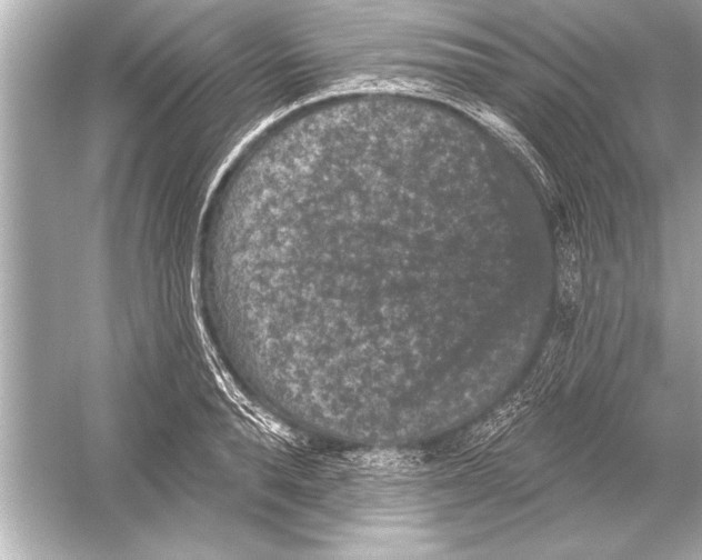 X0000051890896200507222013