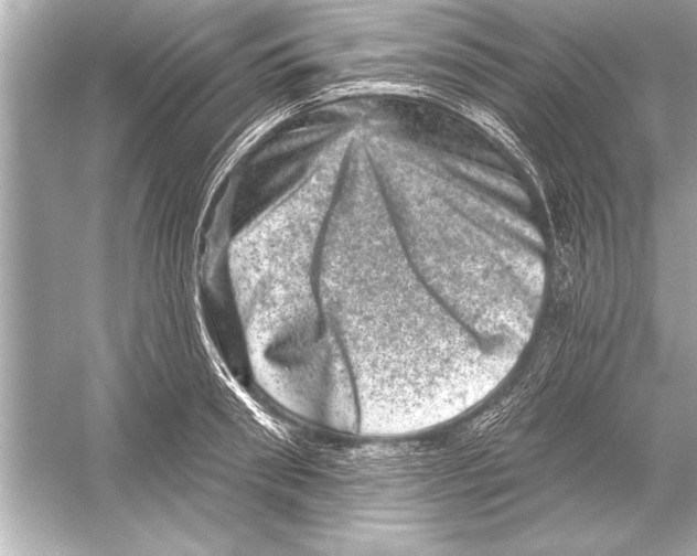 X0000051890898200507222013