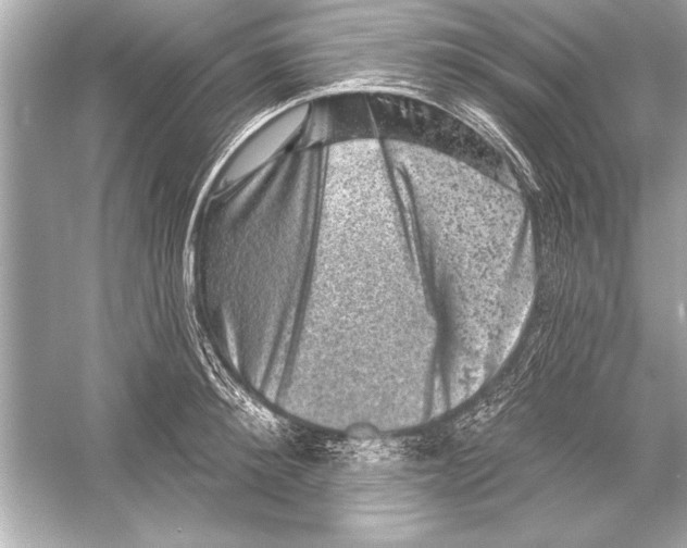 X0000051890900200507222012