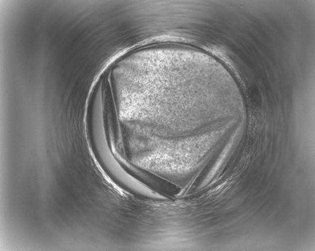 X0000051890902200507222012