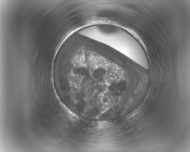 X0000051890903200507222012