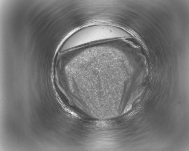 X0000051890904200507222012