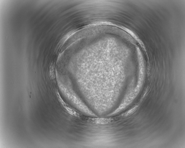 X0000051890905200507222012