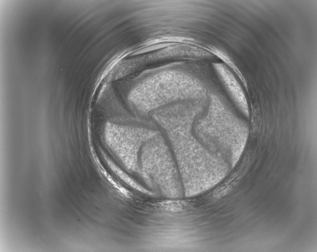 X0000051890906200507222012