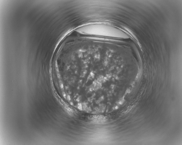 X0000051890907200507222012