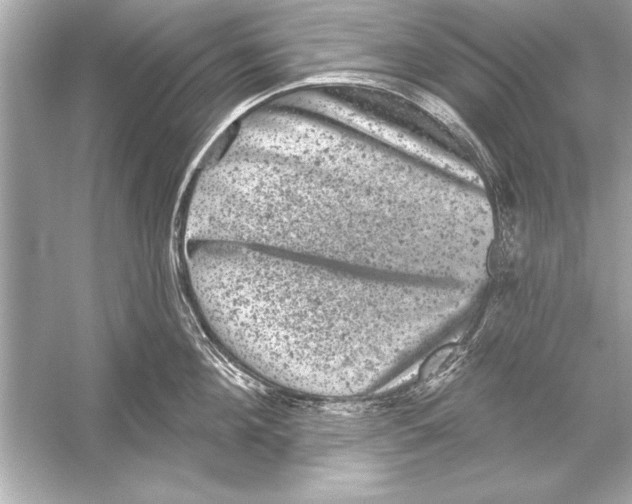 X0000051890908200507222012