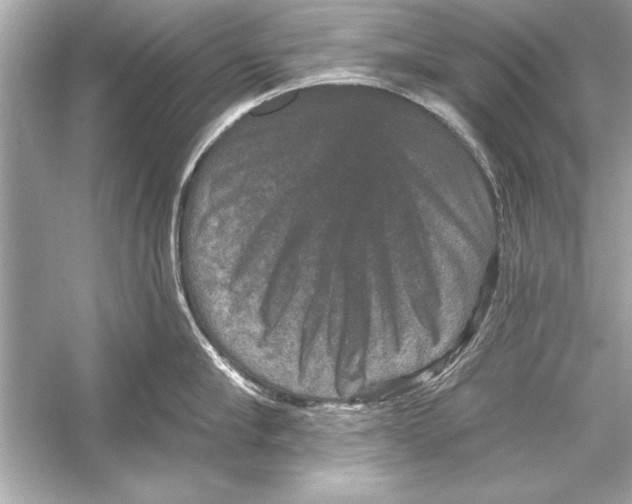 X0000051890910200507222012