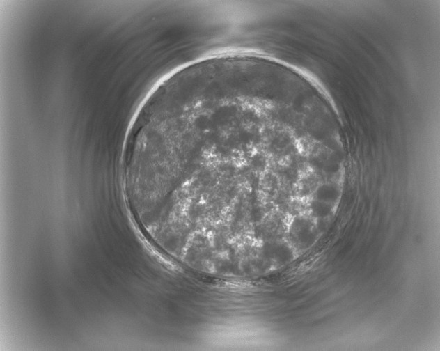 X0000051890911200507222012