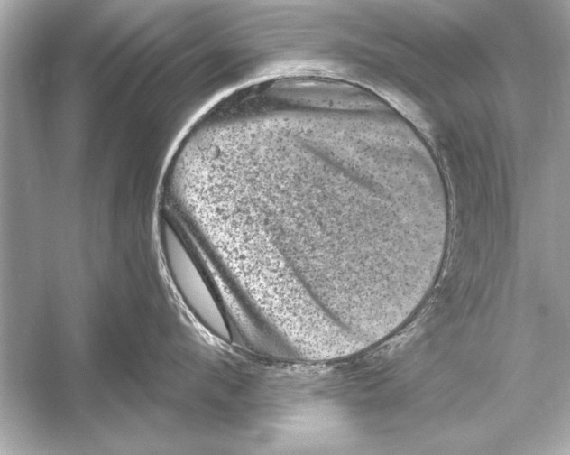 X0000051890912200507222012