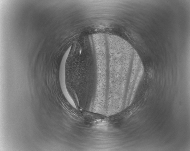 X0000051890914200507222011