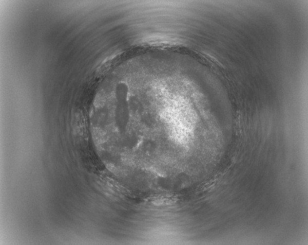 X0000051890917200507222012