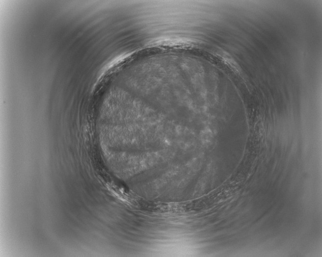 X0000051890920200507222012