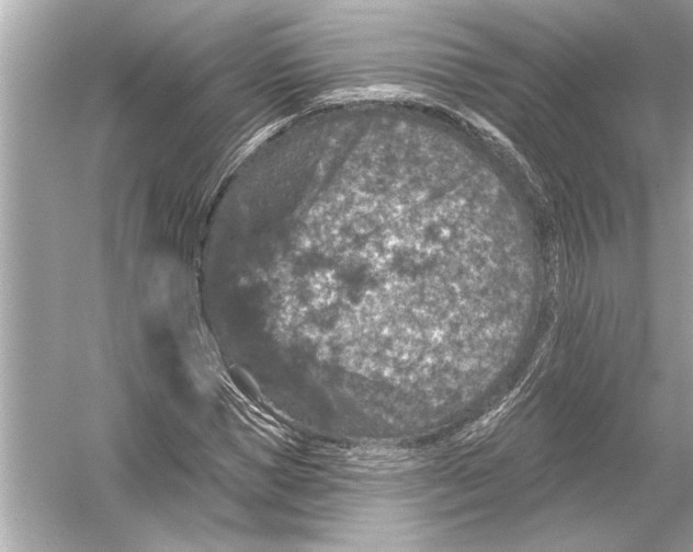 X0000051890921200507222012