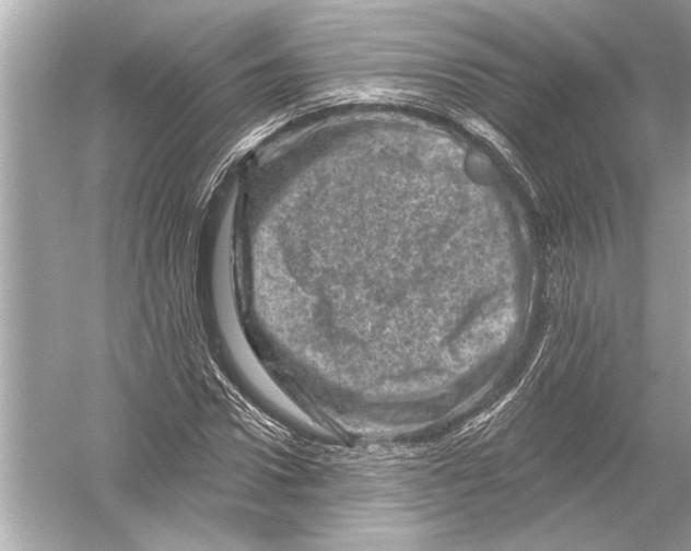 X0000051890922200507222012