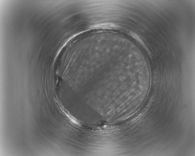 X0000051890923200507222012