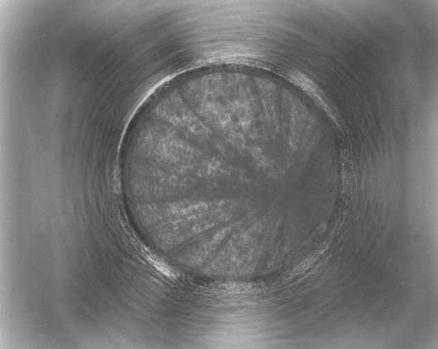 X0000051890924200507222012