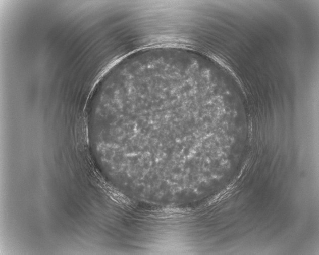 X0000051890925200507222012