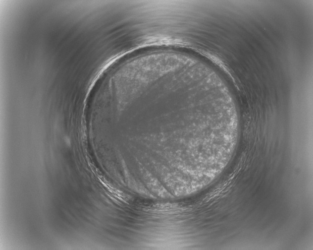 X0000051890927200507222012