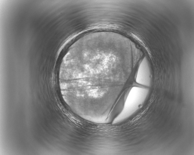 X0000051890928200507222012