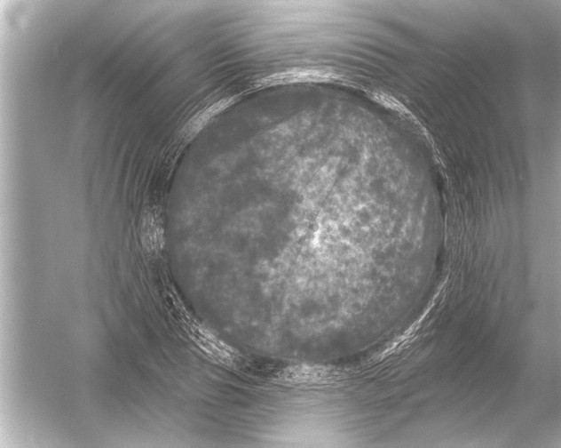 X0000051890929200507222012