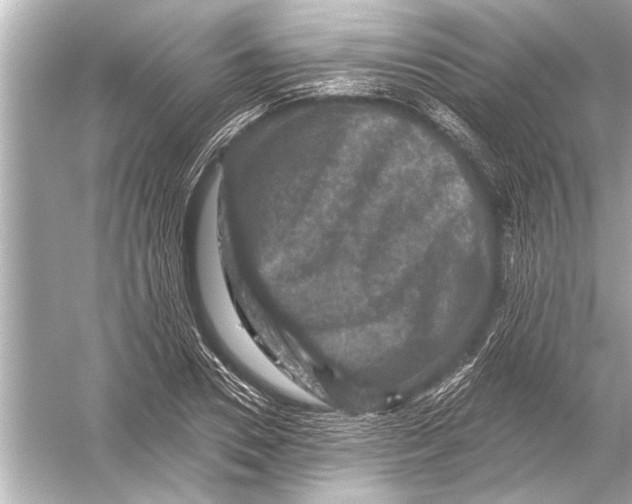 X0000051890930200507222012